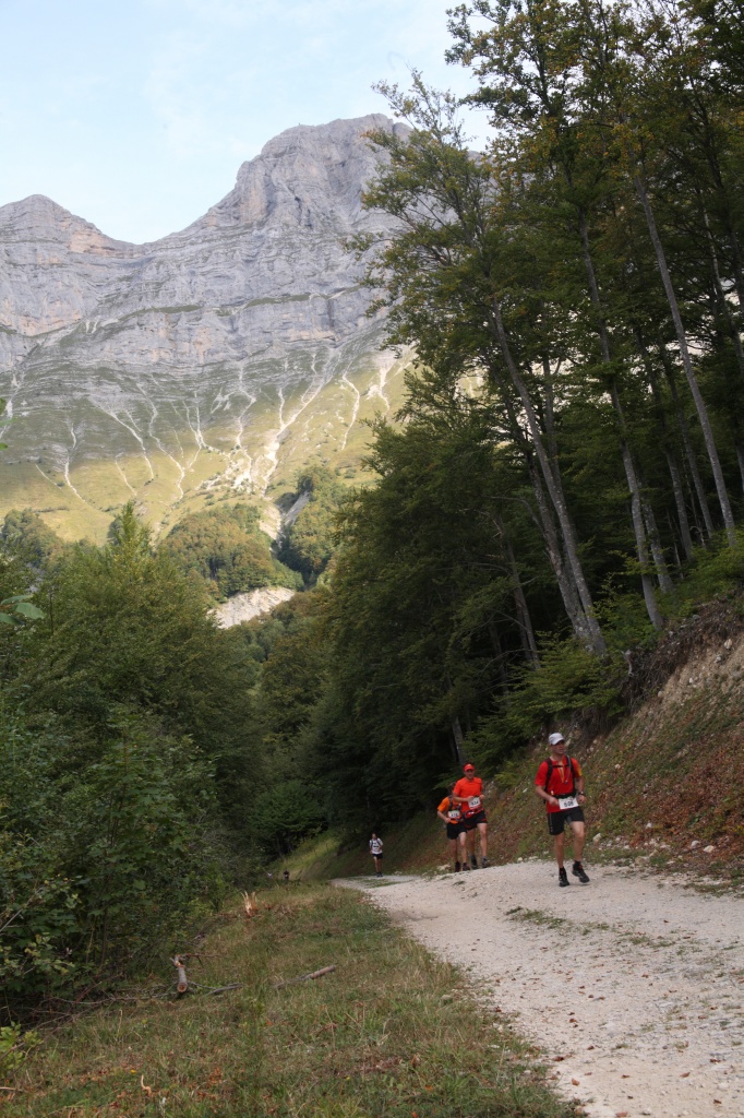 trail201126