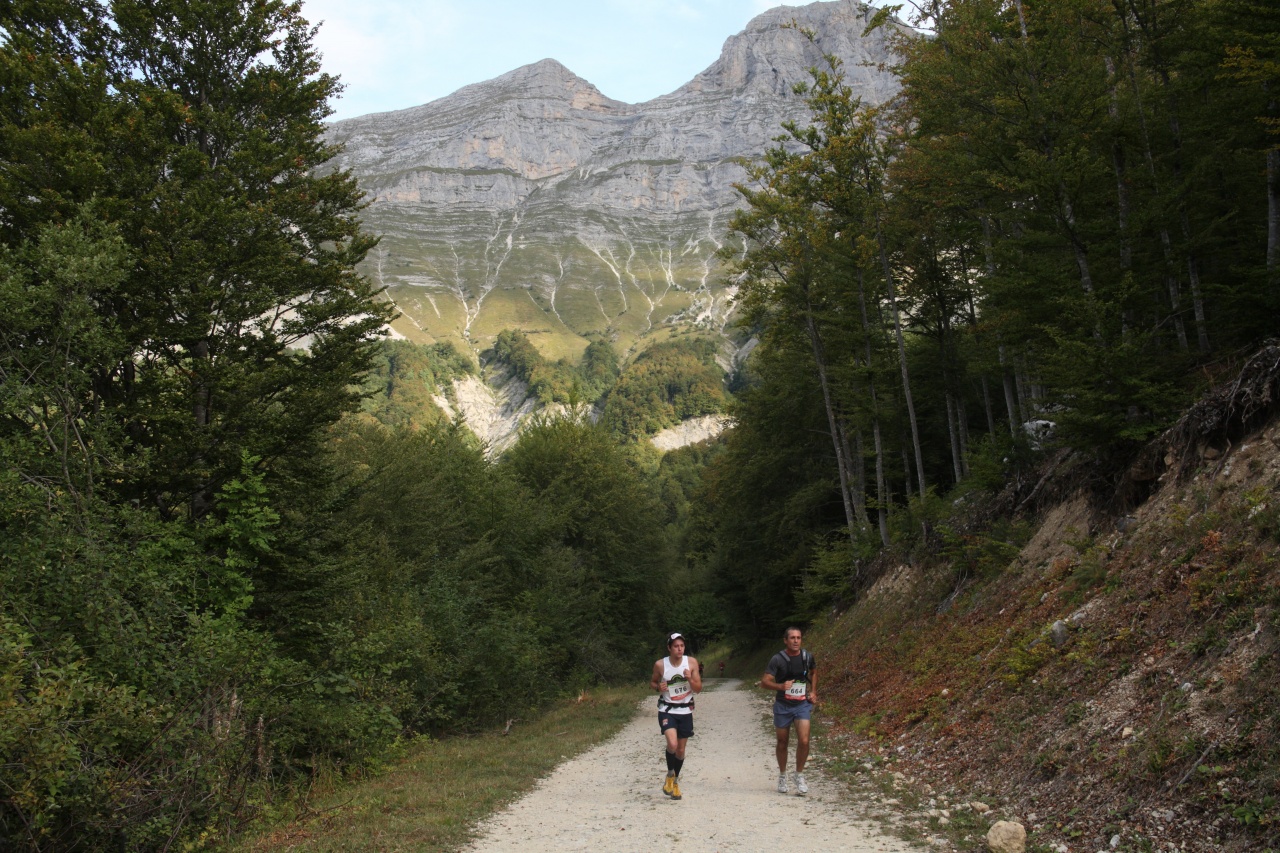 trail201128