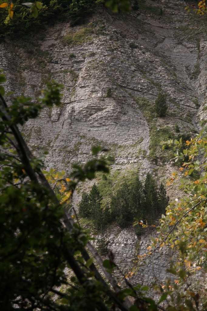 trail201146
