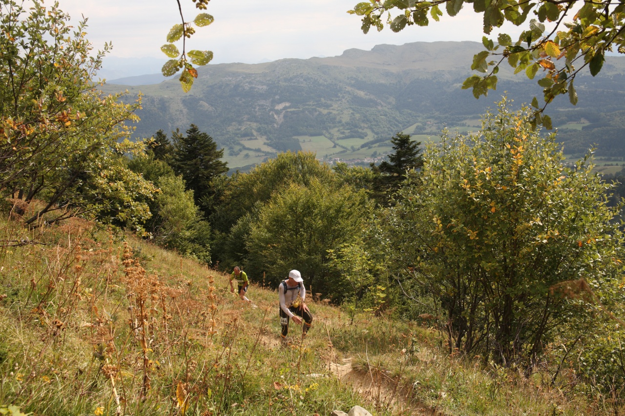 trail201155
