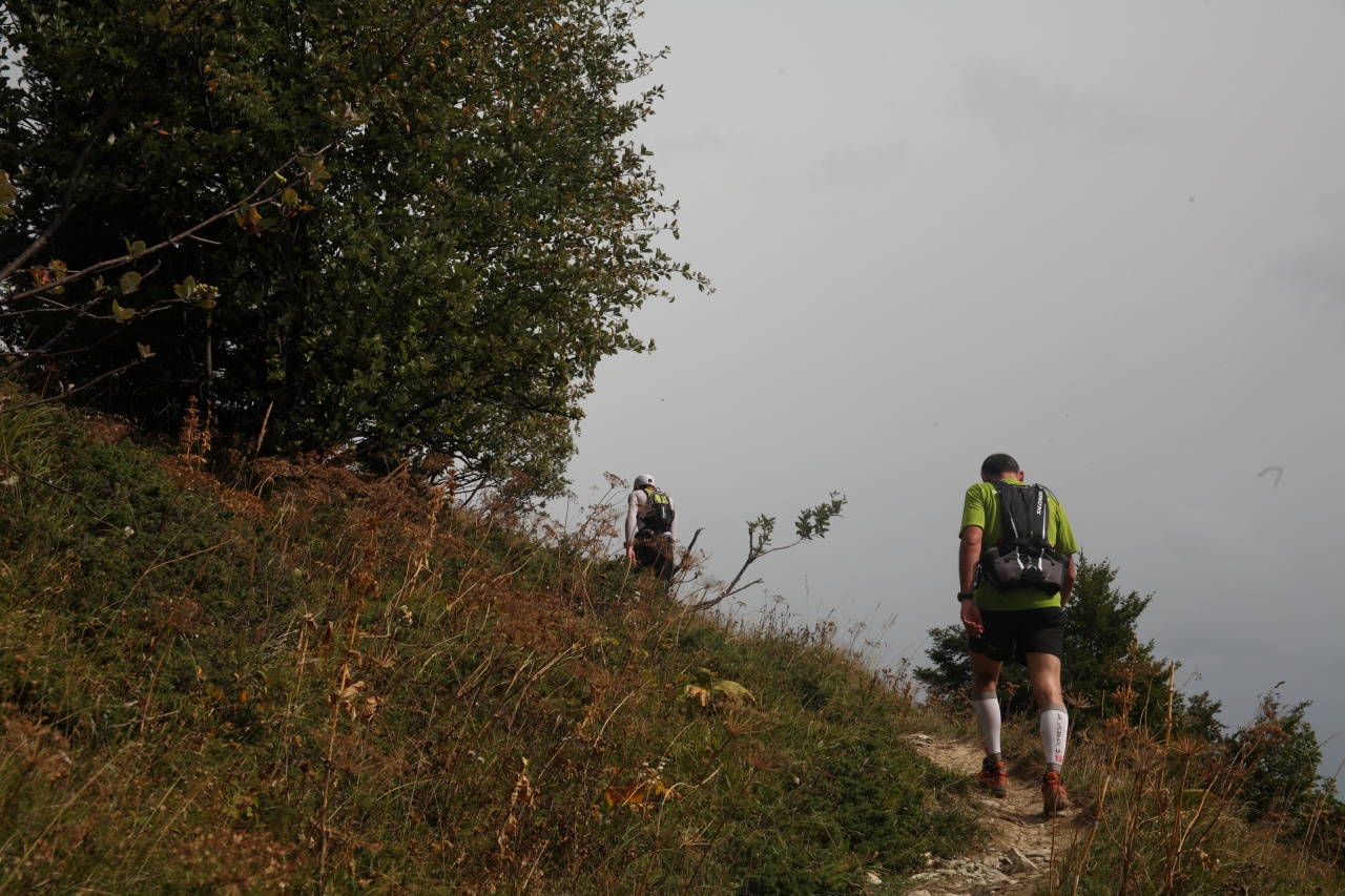 trail201159