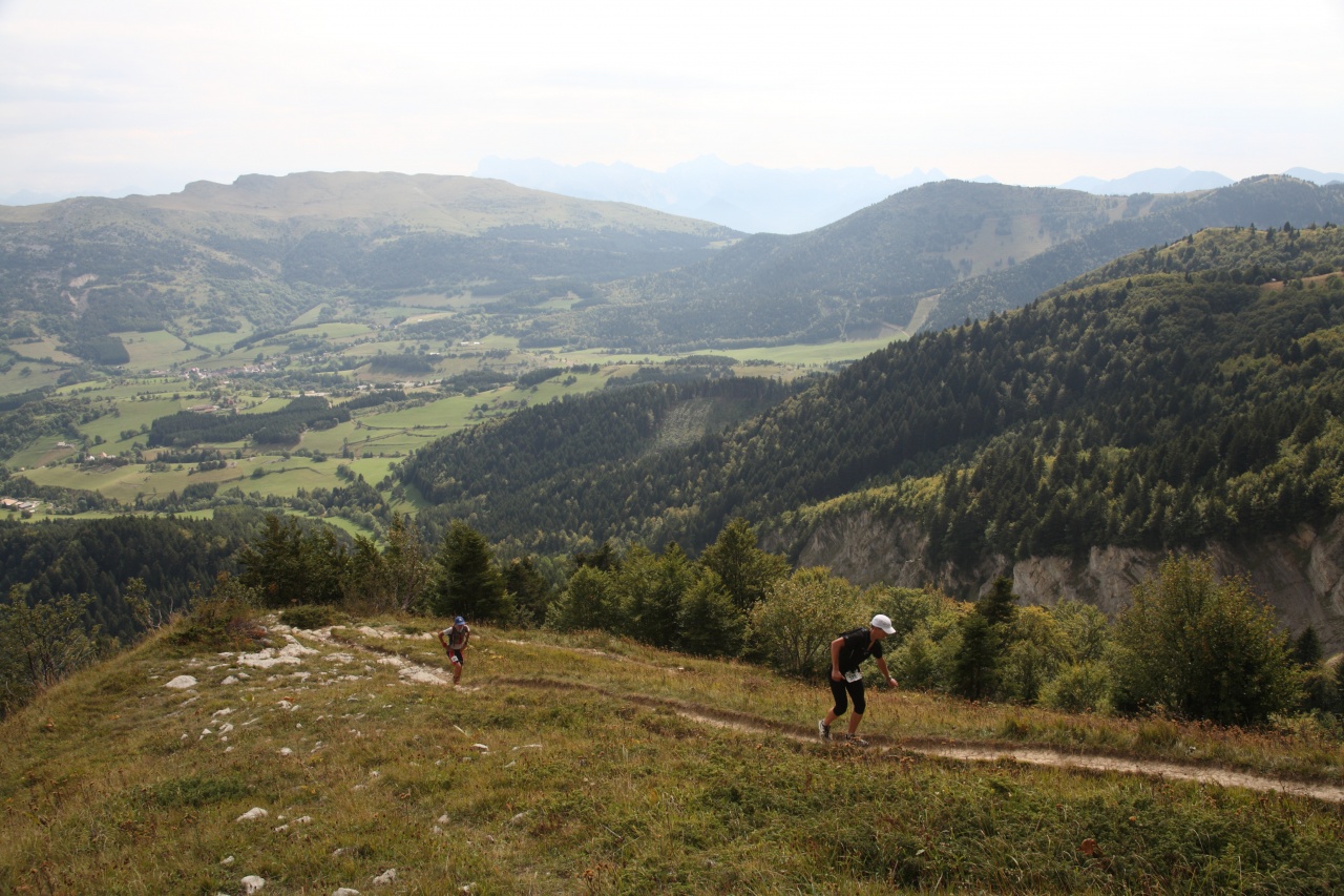 trail201165
