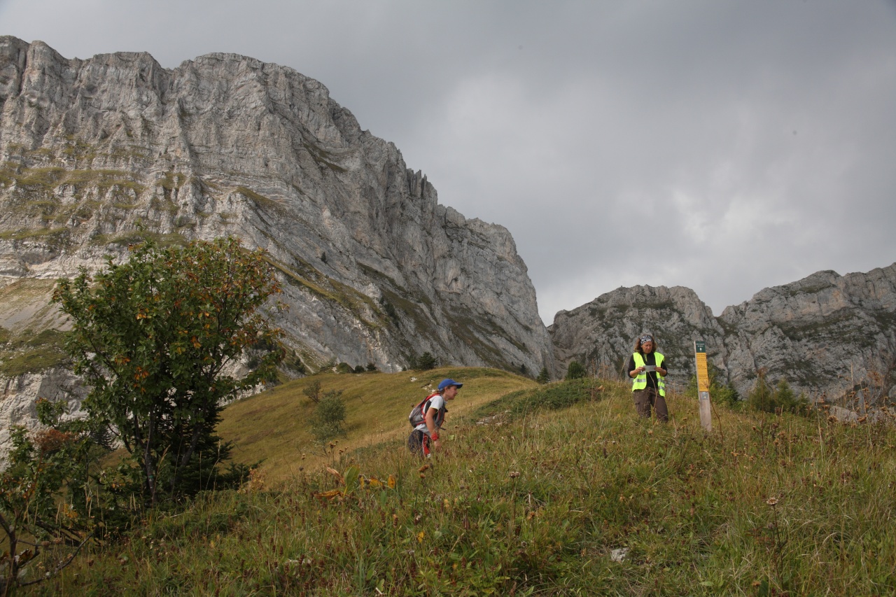 trail201169
